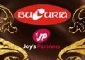 JOY S PARTNERS