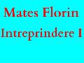 MATES FLORIN I.I.