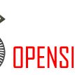 OPENSIN SRL