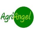 SC AGRIANGEL SRL