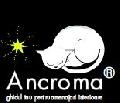 SC ANCROMA SRL