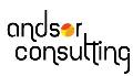 SC ANDSOR CONSULTING SRL