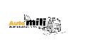 SC AUTO MILI SRL