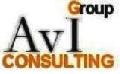 SC AVI GROUP SRL