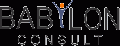 SC BABYLON CONSULT SRL