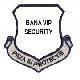 SC BANA VIP SECURITY SRL