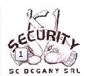 SC BEGANY SRL