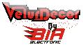 SC BIA ELECTRONIC SRL