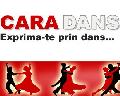SC CARA EXCLUSIVE AGENCY SRL