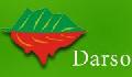SC DARSO ECO SRL