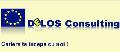 SC DELOS CONSULTING SRL