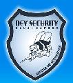 SC DEY SECURITY SRL