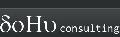 SC DOHU CONSULTING SRL