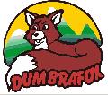 SC DUMBRAFOX SRL