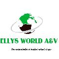 SC ELLYS WORLD A&V SRL