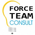 SC FORCE TEAM CONSULT SRL