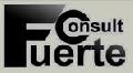 SC FUERTE CONSULT SRL