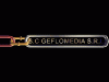 SC GEFLOMEDIA SRL