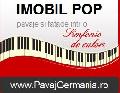 SC IMOBIL POP SRL