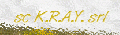 SC KRAY SRL