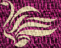 SC MARA EXPERT DESIGN SRL
