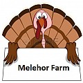 SC MELEHOR FARM SRL