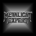 SC METALICAT EXPERT SRL