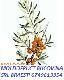 SC MOLDOFRUCT BUCOVINA SRL