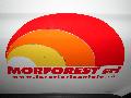 SC MORFOREST SRL