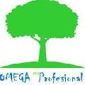 SC OMEGA PROFESIONAL SRL