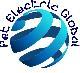 SC PET ELECTRIC GLOBAL SP SRL