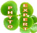 SC PHYTO EXPERT SRL