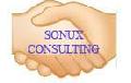 SC SONUX CONSULTING SRL