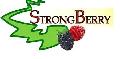 SC STRONG BERRY SRL