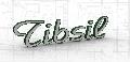 SC TIBSIL SRL