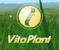 SC VITAPLANT SRL