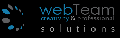 SC WEBTEAM SOLUTIONS SRL-D