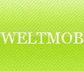 SC WELTMOB SRL