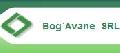 SC BOG AVANE SRL