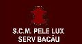 SOCIETATE COOPERATIVA MESTESUGAREASCA PELE LUX SERV