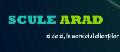 SCULE ARAD SRL