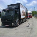 SHAMROCK TRANSPORT SRL
