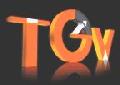 TGV MEDIA GRUP SRL