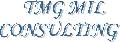 TMG MIL CONSULTING SRL