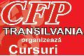 CURSURI TRANSILVANIA