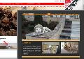 Pagini web, servicii SEO, administrare hosting, social media