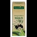 Extract din mladite de maslin OLEA EUROPAEA