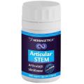 Articular STEM 120cps