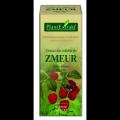 Extract din mladite de ZMEUR RUBUS IDAEUS
