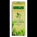 Extract din mladite de lemn cainesc LIGUSTRUM VULG